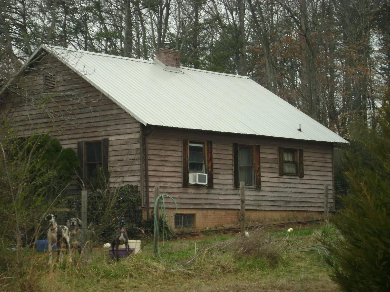 White metal roof on an old wood sided farmhouse, from a Metal Roof Installation job in Lodge